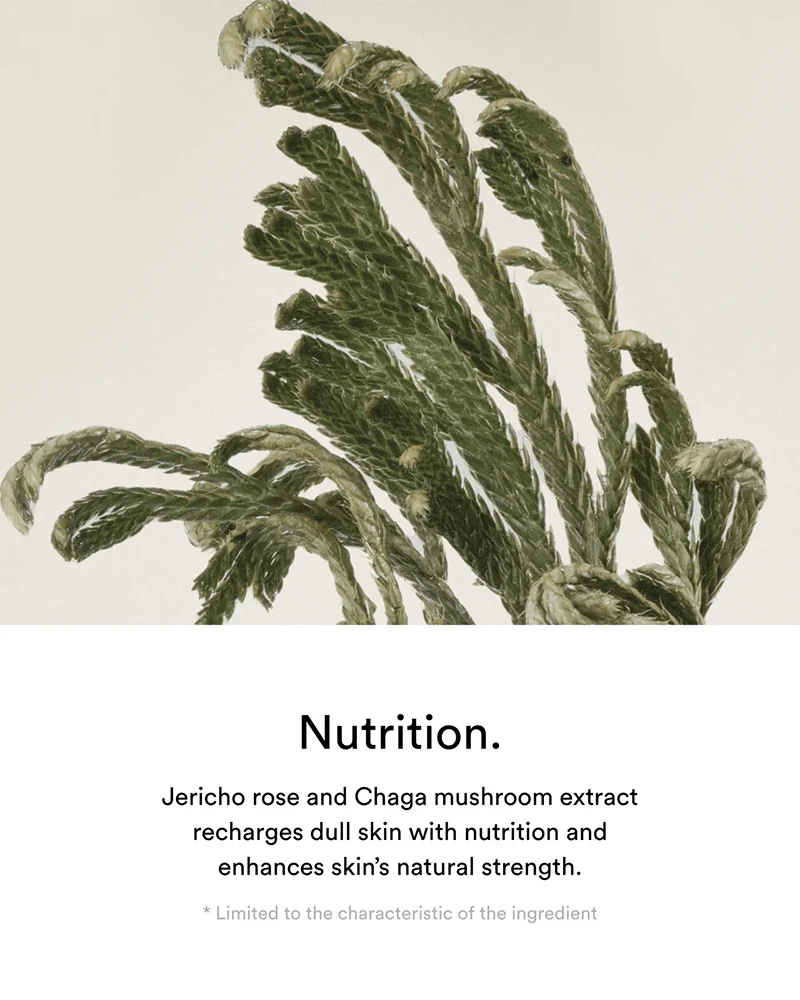 Abib Jericho Rose Creme Nutrition Tube - Image 5