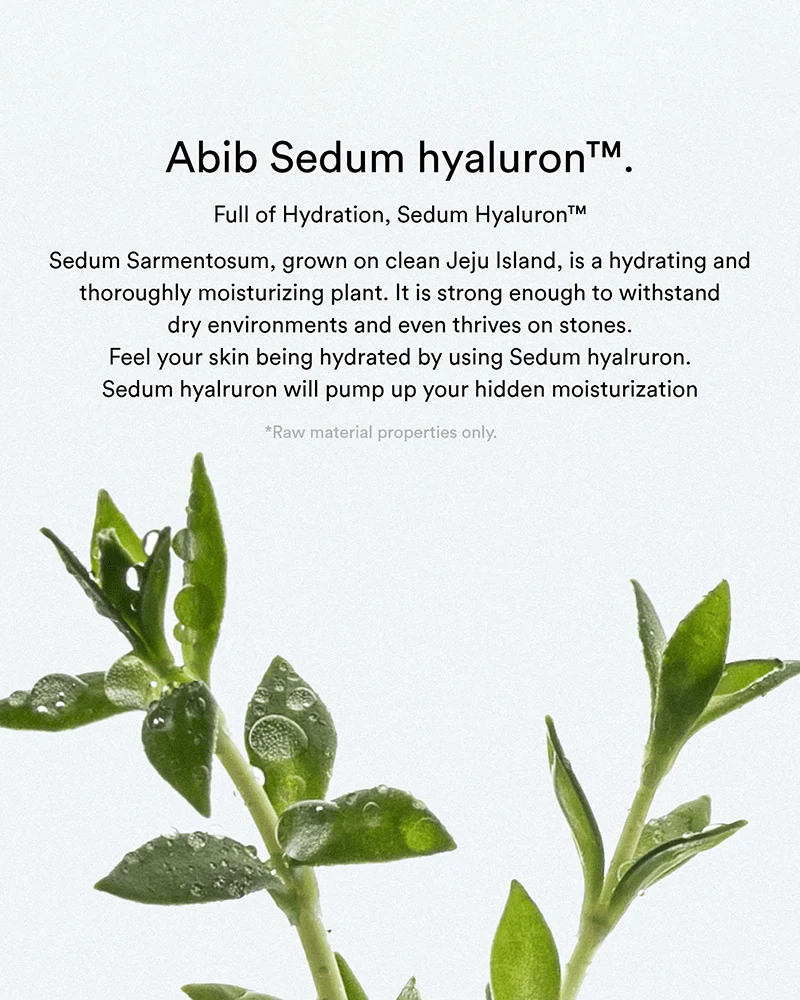 Abib Sedum Hyaluron Creme Hydrating Pot - Image 3