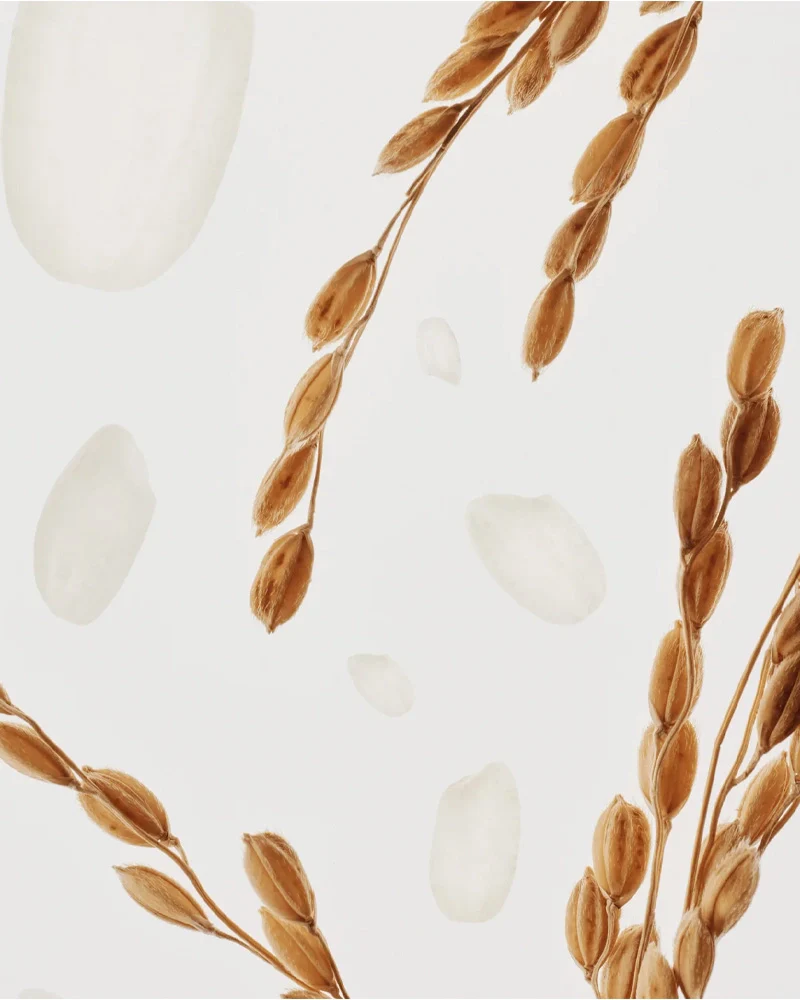 Beauty of Joseon Glow Deep Serum Rice + Alpha Arbutin - Image 7