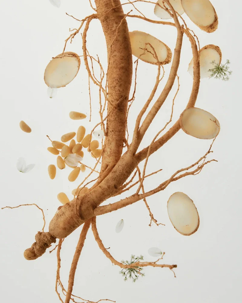 Beauty of Joseon Revive Serum Ginseng + Snail Mucin - Image 9