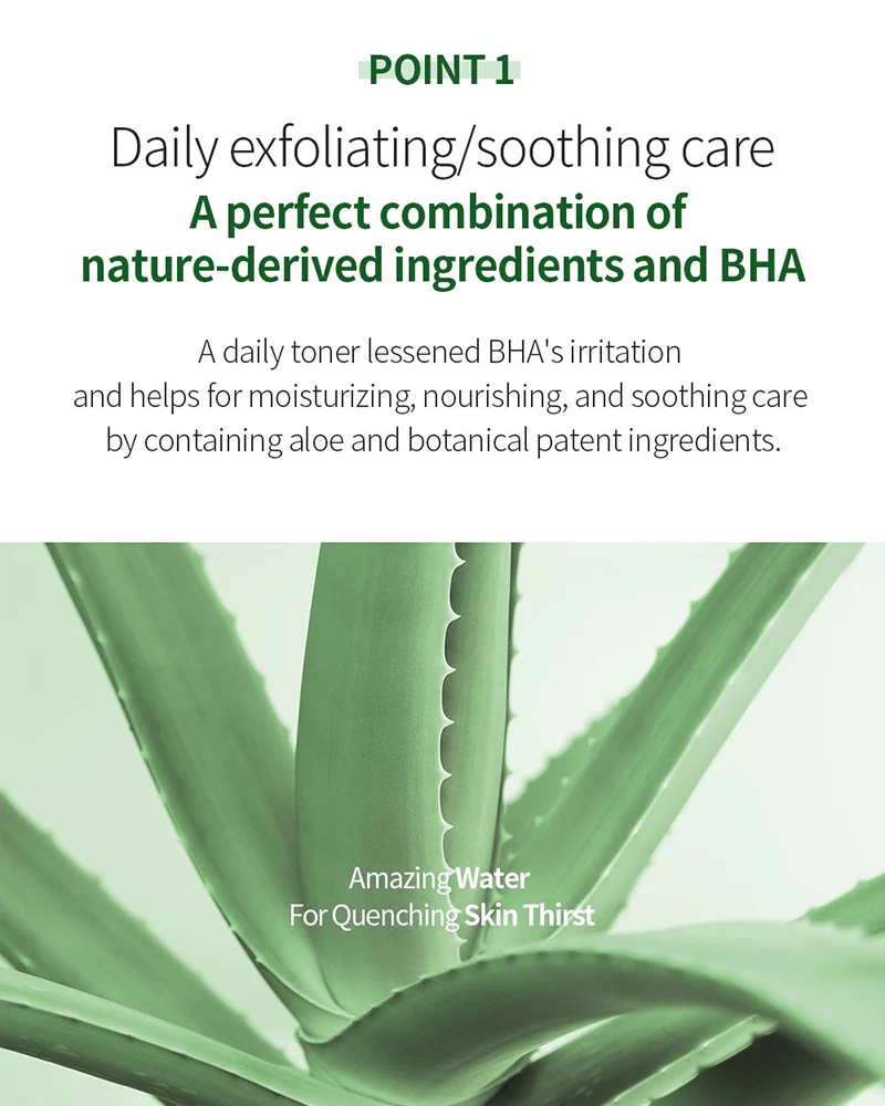 Benton Aloe BHA Skin Toner (Renewal) - Image 4