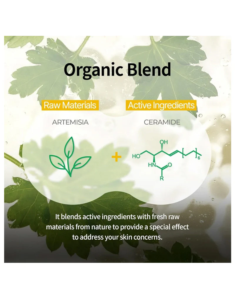 BRING GREEN Artemisia Cera Fresh Mask Sheet - Image 3