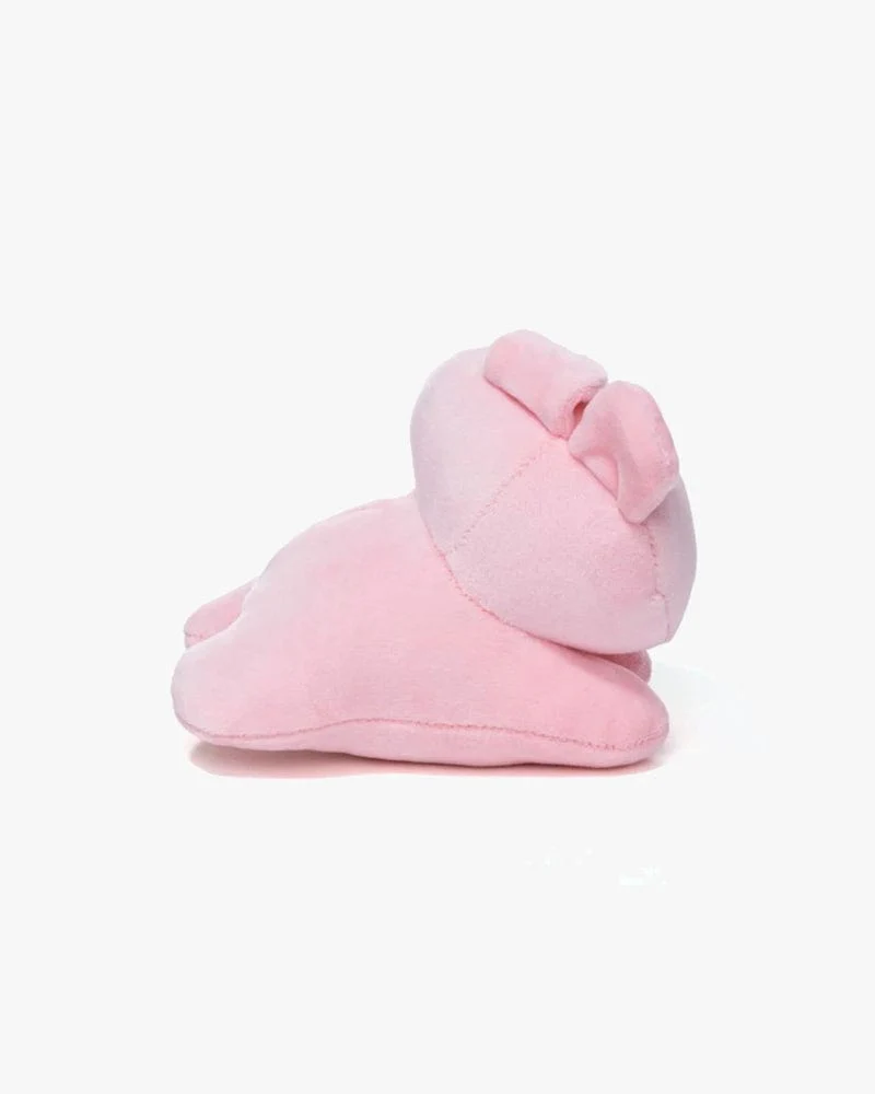 BT21 COOKY BABY MY LITTLE BUDDY Small Plush - Image 4