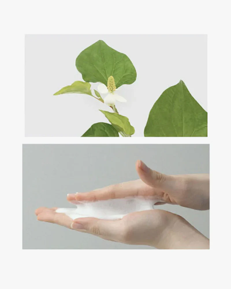 celimax Jiwoogae Cica BHA Cleansing Foam - Image 4