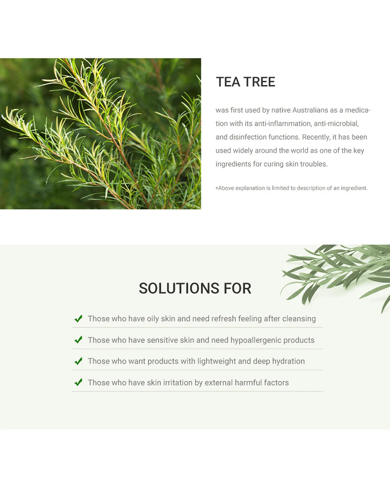 Dr. Ceuracle Tea Tree Purifine 30 Cleansing Foam - Image 5