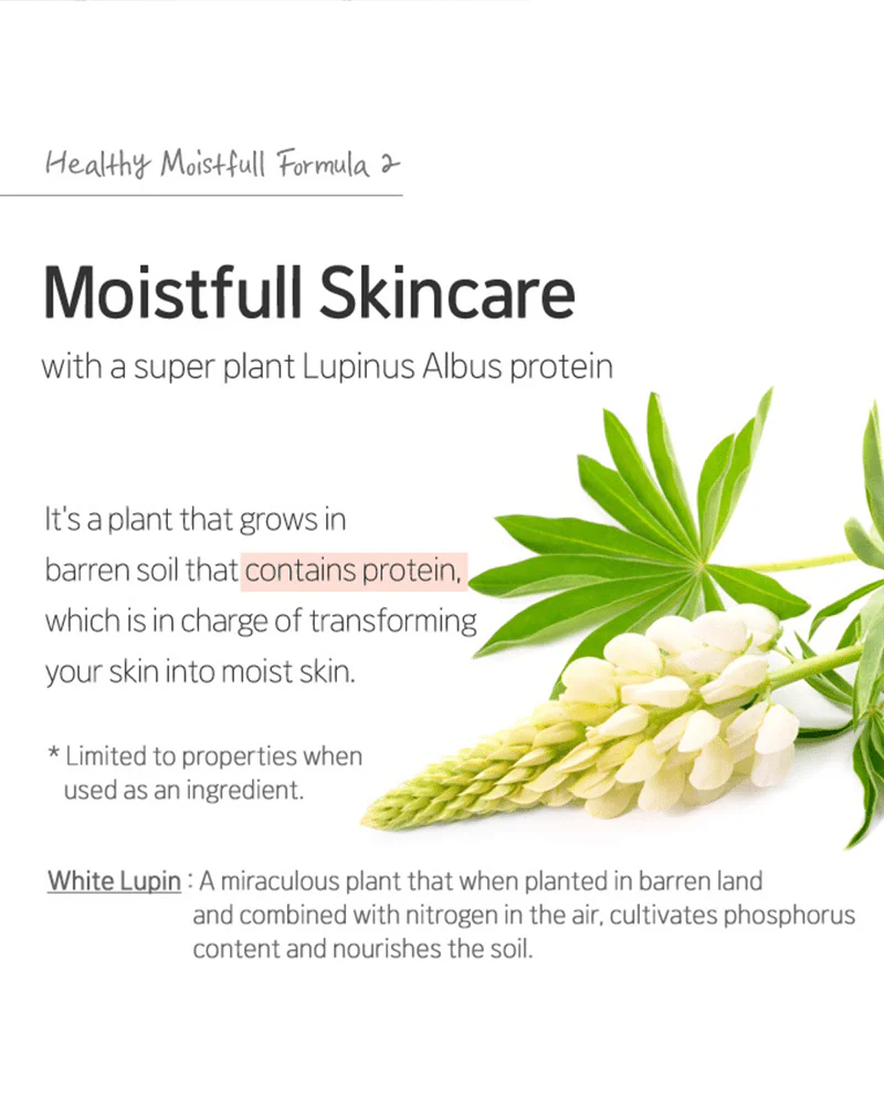 Etude Moistfull Collagen Cream (Renewal) - Image 6