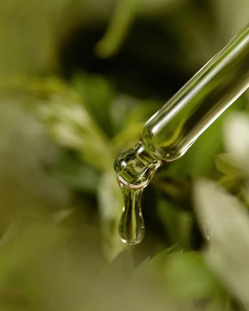 I'm From Mugwort Serum - Image 4