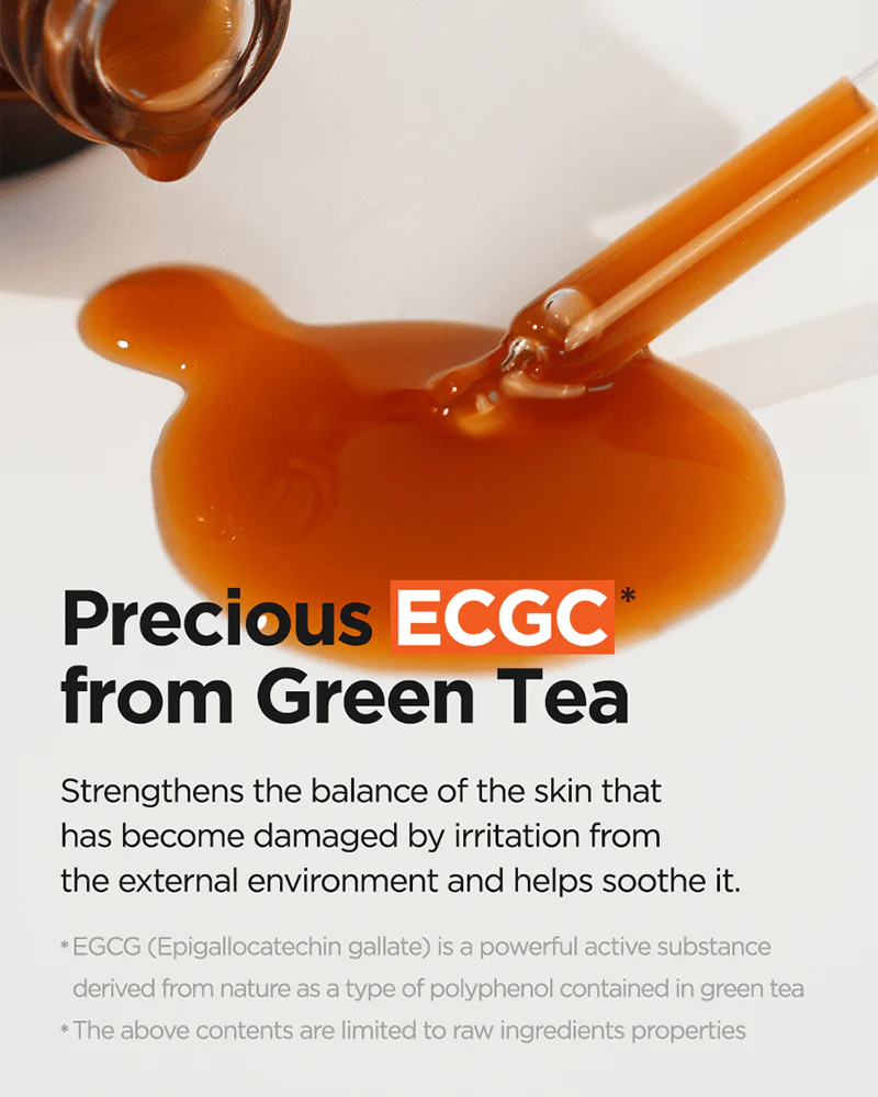 ISNTREE Green Tea Fresh Serum 50mL - Image 5