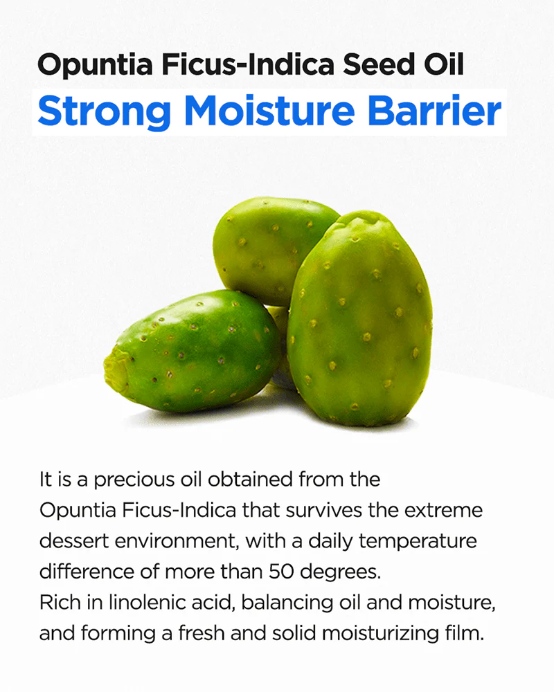 ISNTREE Hyaluronic Acid Water Essence (Renewal) - Image 6