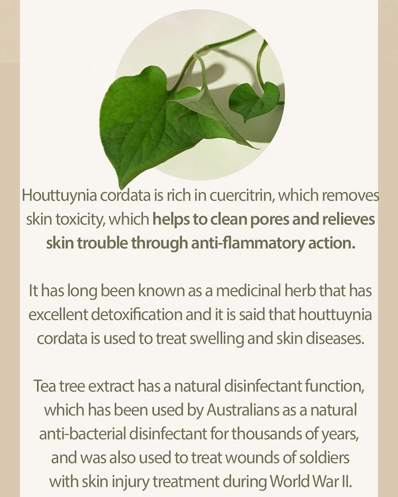 MARY & MAY Houttuynia Cordata + Tea Tree Serum - Image 3