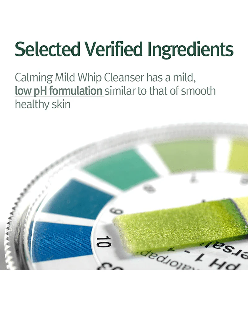 Pyunkang Yul Calming Low pH Foaming Cleanser - Image 4
