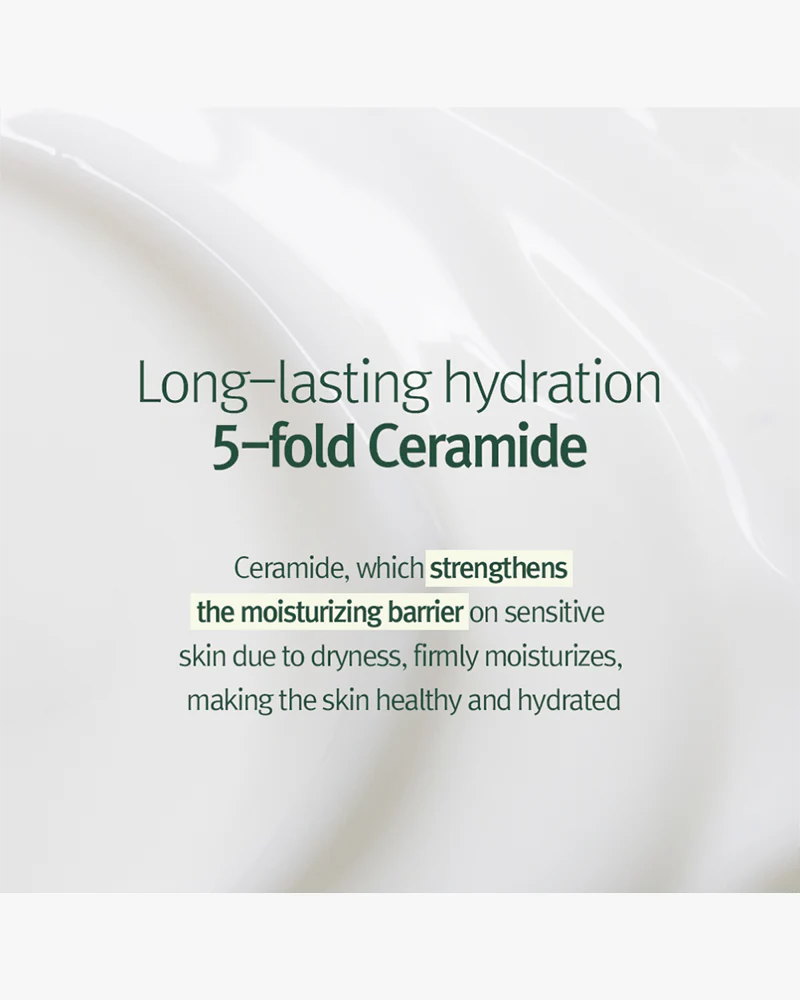 Pyunkang Yul Calming Moisture Nourishing Cream - Image 4