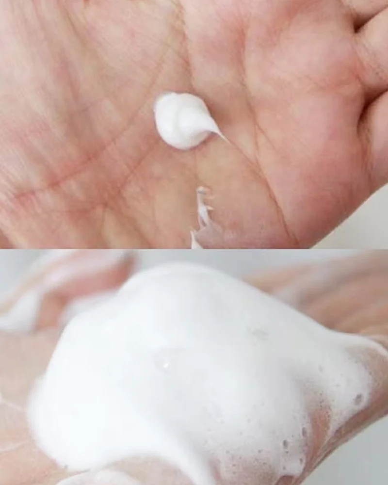 Reihaku Hatomugi Moisturizing & Facial Washing Foam - Image 3