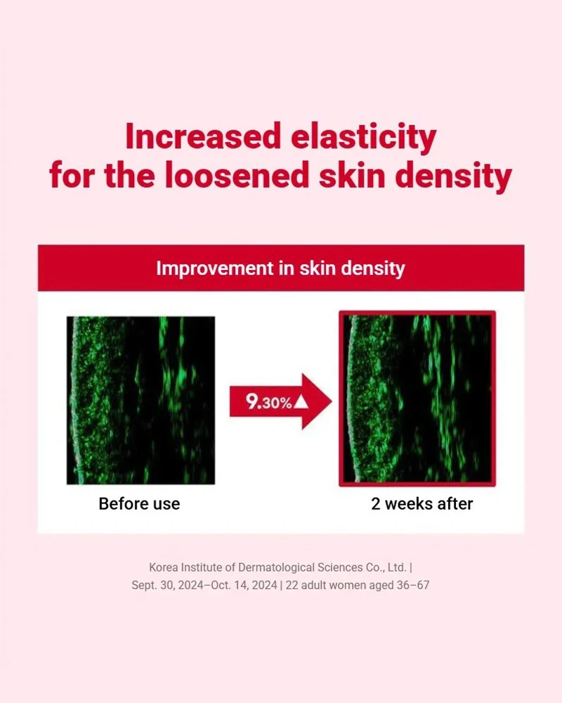 ROUND LAB Camellia Deep Collagen Firming Cream - Image 6