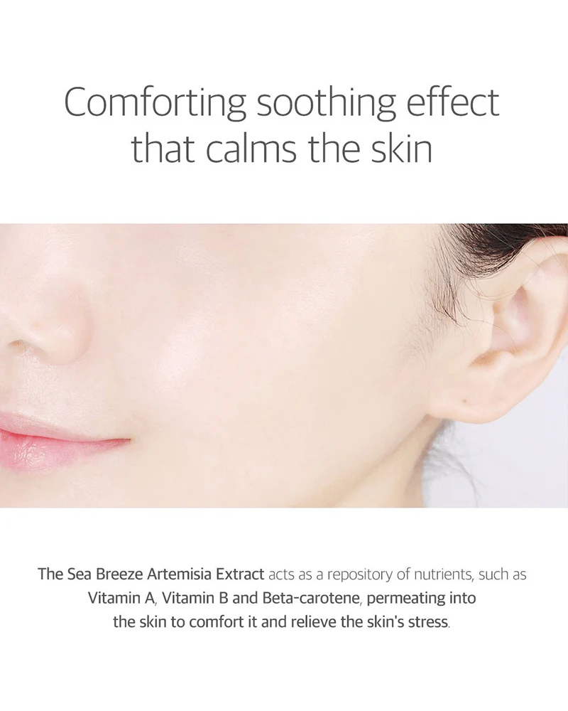 ROUND LAB Mugwort Calming Cream - Image 5