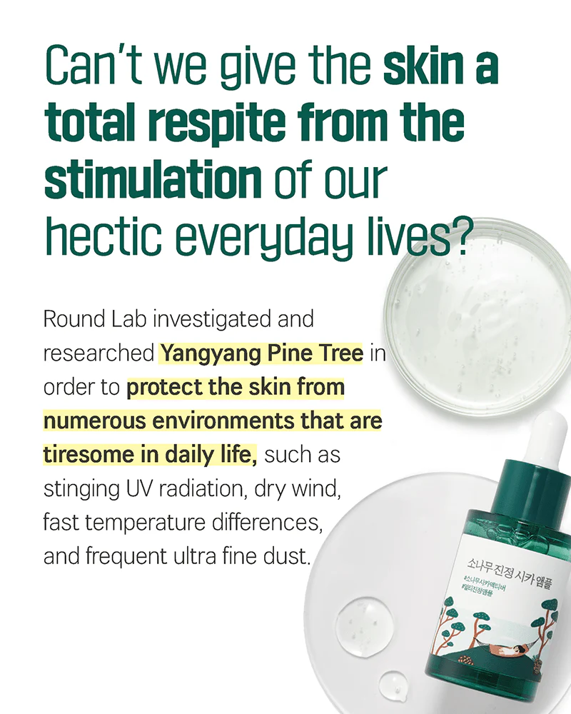 ROUND LAB Pine Calming Cica Ampoule - Image 3
