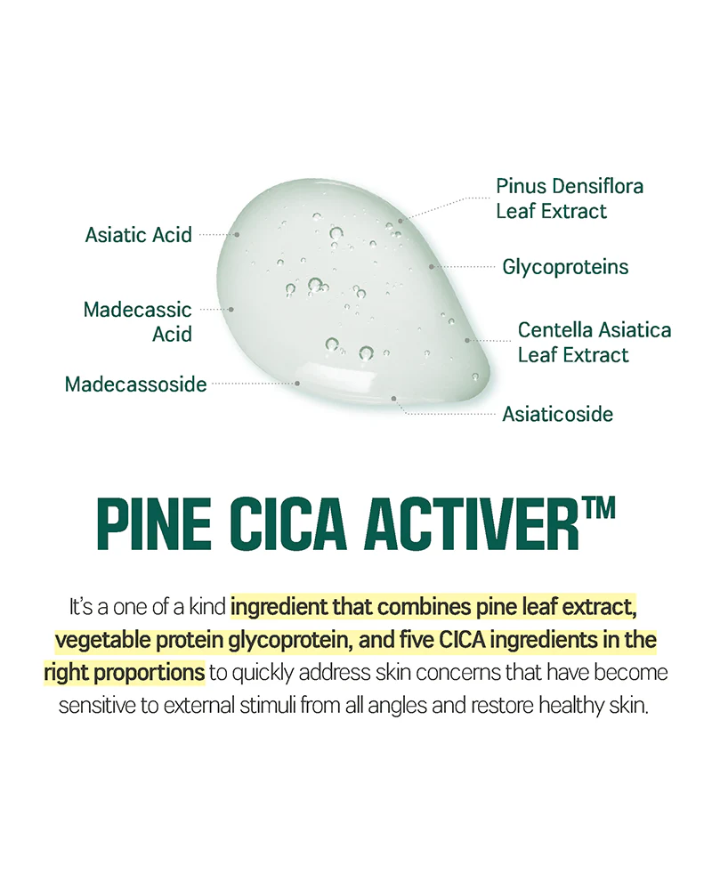 ROUND LAB Pine Calming Cica Cream - Image 4