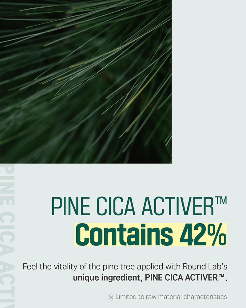 ROUND LAB Pine Calming Cica Cream - Image 5