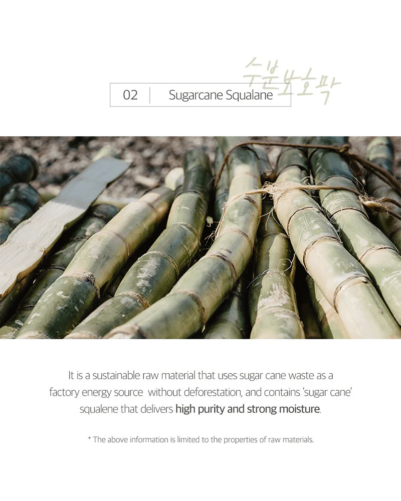 ROUND LAB Soybean Cleansing Oil - Image 13
