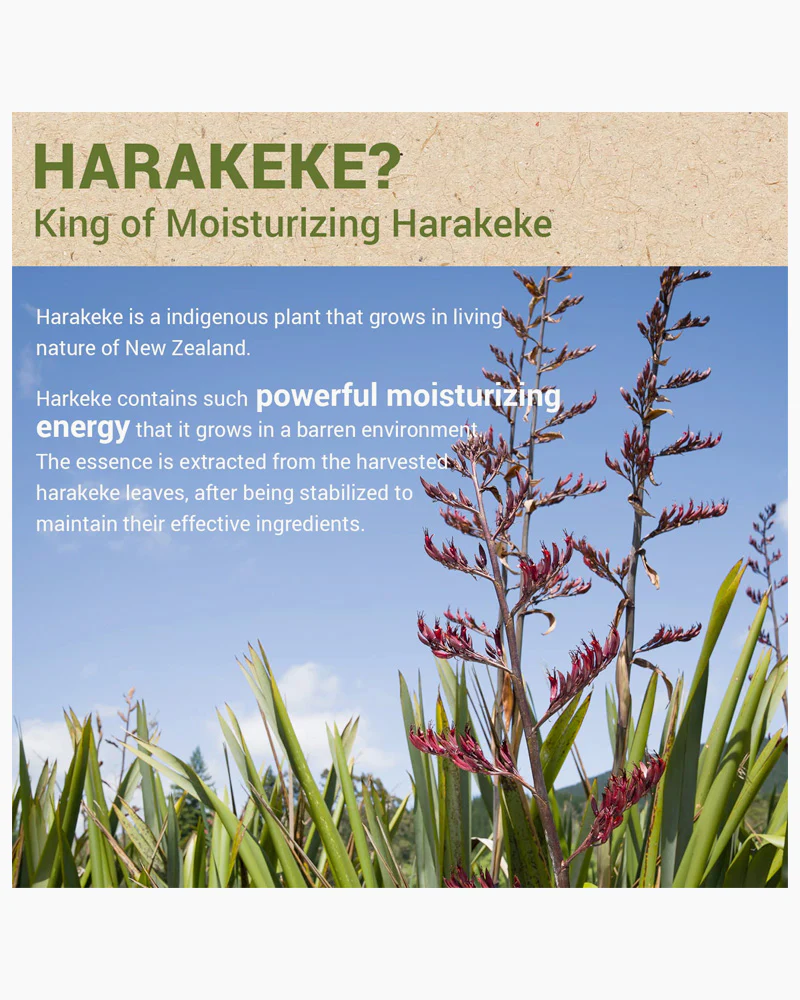 the SAEM Urban Eco Harakeke Toner - Image 4